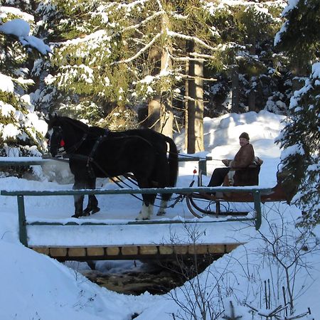 Koliba Ski Gruniky Sihelne Bagian luar foto