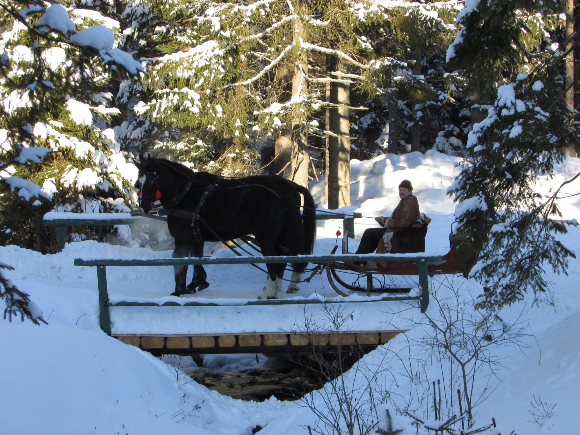 Koliba Ski Gruniky Sihelne Bagian luar foto